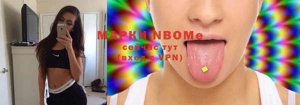 винт Няндома