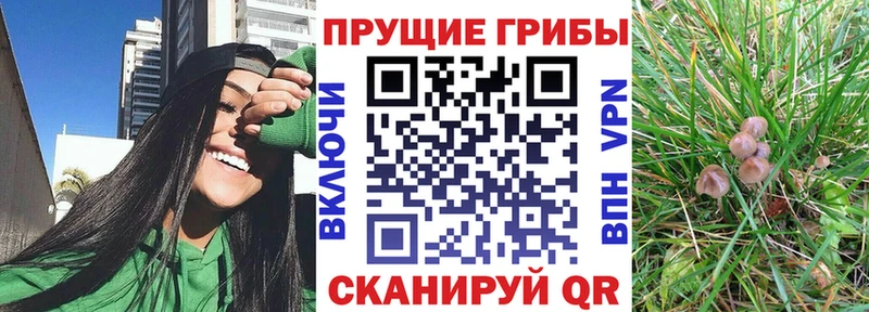 Галлюциногенные грибы Magic Shrooms  Ростов 